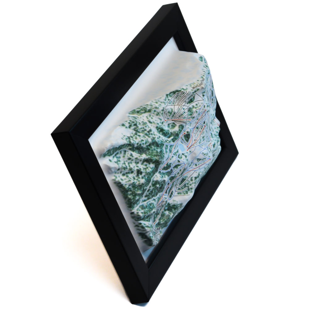 12_Heavenly 3D Ski Map_09 Heavenly 3D Ski Map by TestPlay - Souvenir, Keepsake, Decor