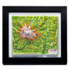 38_Mount Rainier National Parks 3D Map_01 Mount Rainier National Park 3D Map by TestPlay - Souvenir, Keepsake, Decor