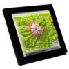 38_Mount Rainier National Parks 3D Map_07 Mount Rainier National Park 3D Map by TestPlay - Souvenir, Keepsake, Decor