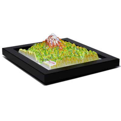 Mount Rainier National Park 3D Map by TestPlay - Souvenir, Keepsake, Decor