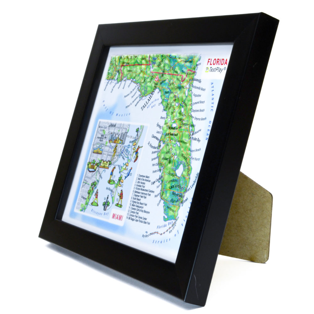 Florida 3D Map with Miami Inset by TestPlay - Souvenir, Keepsake, Decor