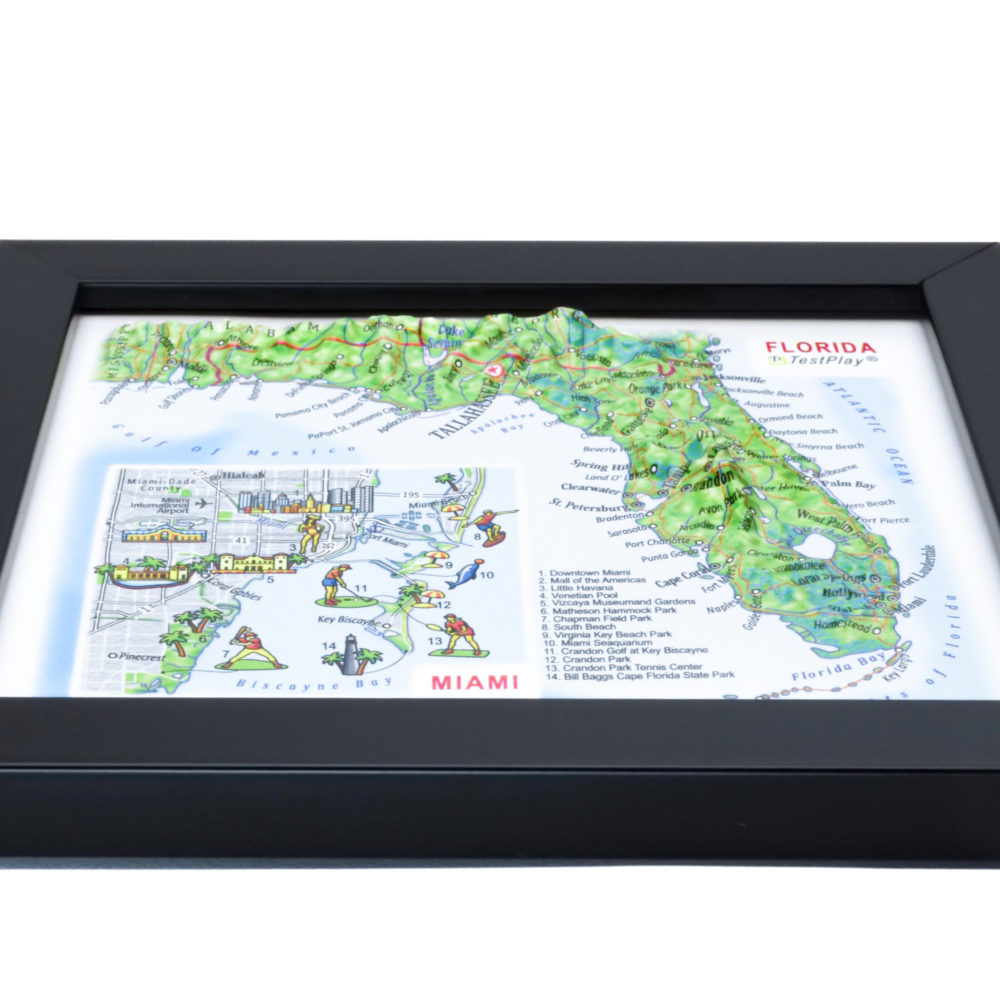 Florida 3D Map with Miami Inset by TestPlay - Souvenir, Keepsake, Decor