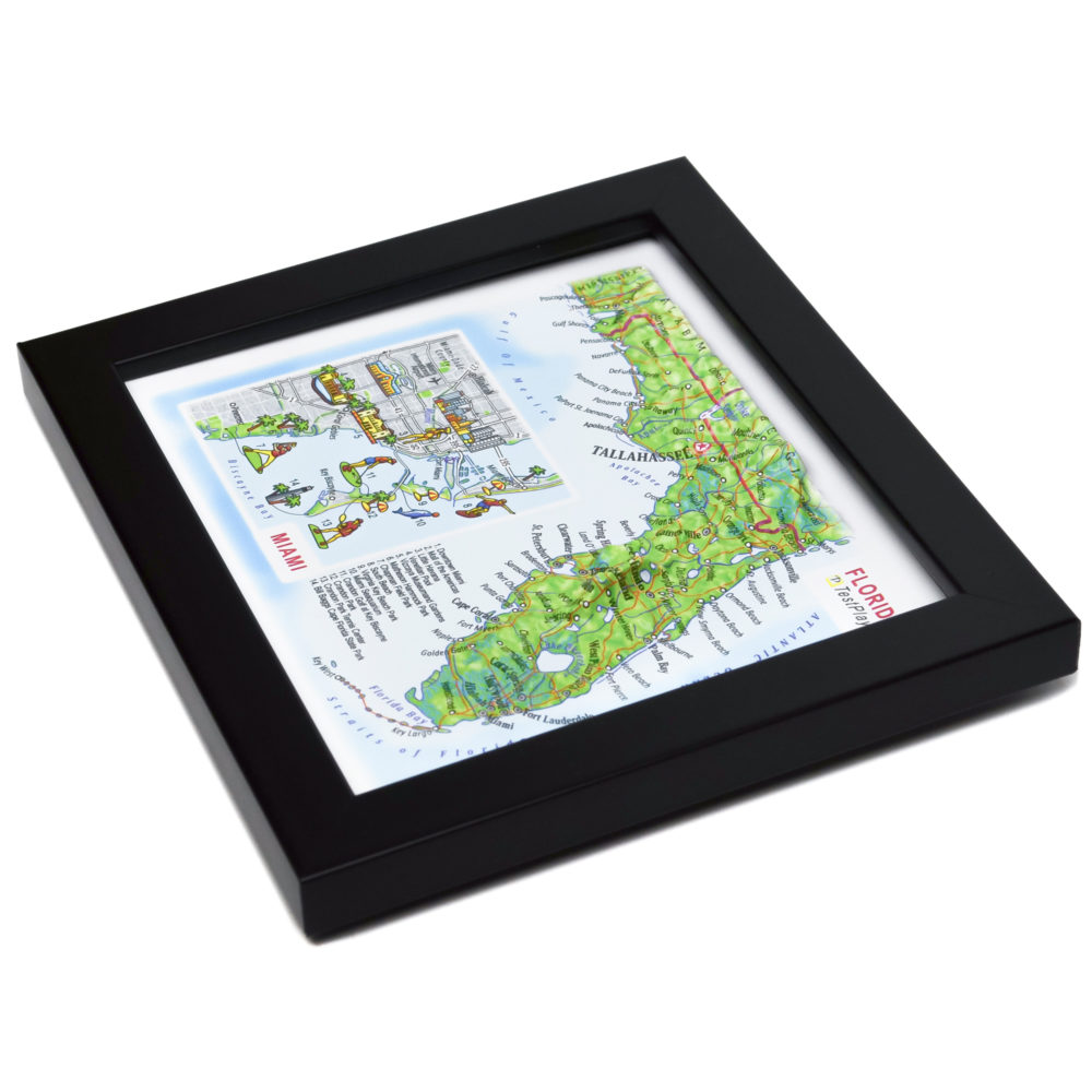 Florida 3D Map with Miami Inset by TestPlay - Souvenir, Keepsake, Decor